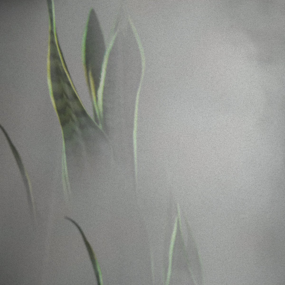 No, It's Something Else album cover